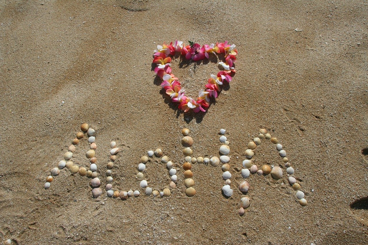 Flying with Your Dog or Cat to Hawaii Without Quarantine